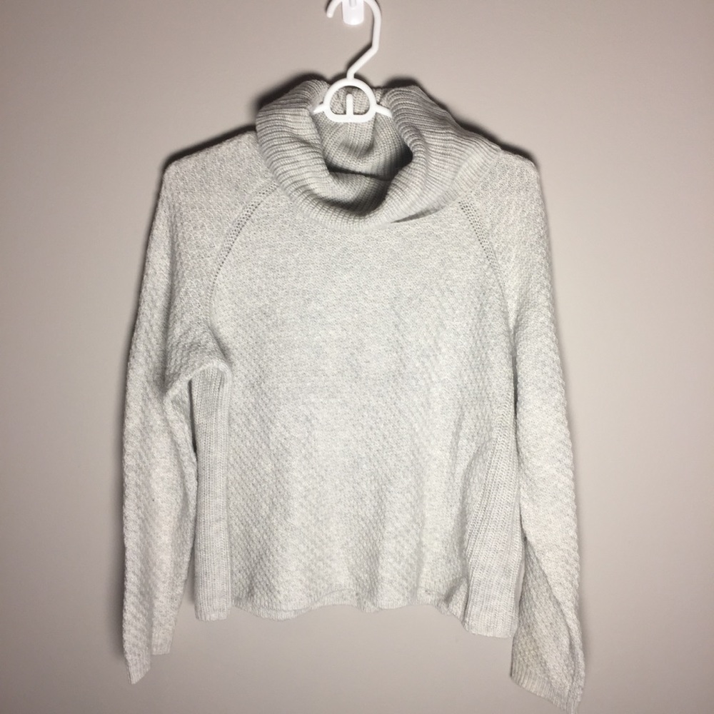 Banana Republic Turtleneck Chunky Sweater